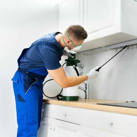 Pest Control