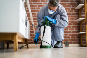 Commercial Pest Control in Pune
